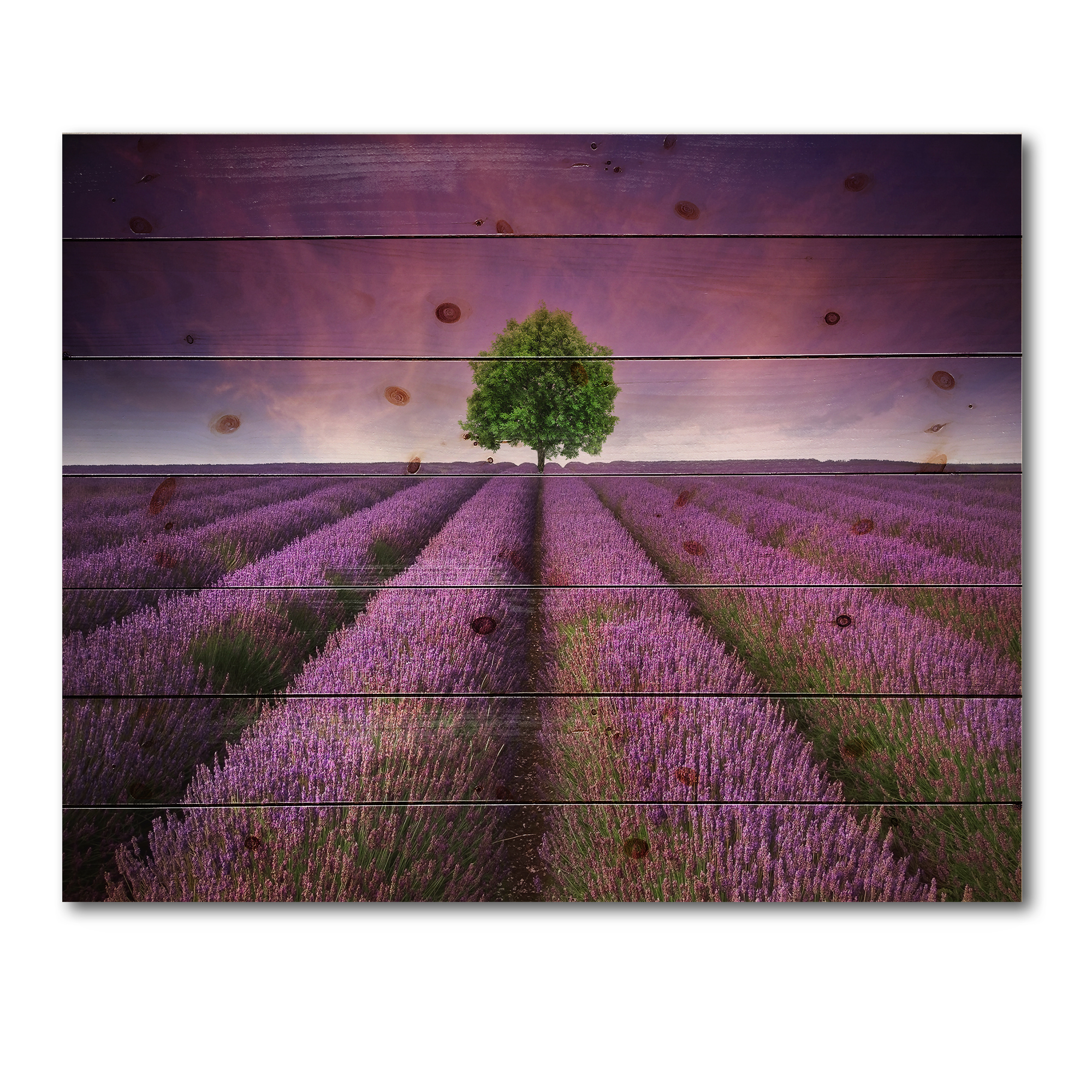 Designart 'Tree With Stunning Lavender Field Summer Sunset' Farmhouse Print on Natural Pine Wood