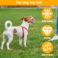 thumbnail image 3 of Pelotas de juguete Grusce para perros, 3 unidades, pelotas de tenis para perros, masticables agresivos, juguetes para perros, pelotas masticables ligeras y elásticas, juguete de agua para, 3 of 5