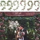 thumbnail image 4 of Enredadera de rosas, planta artificial, flor artificial, decoración de boda, decoración del hogar, enredadera de flores artificiales (190 cm E JM, 4 of 5