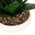 thumbnail image 3 of DesignOvation 6.25"H Artificial Snake Plant in White Ceramic Pot, 3 of 8