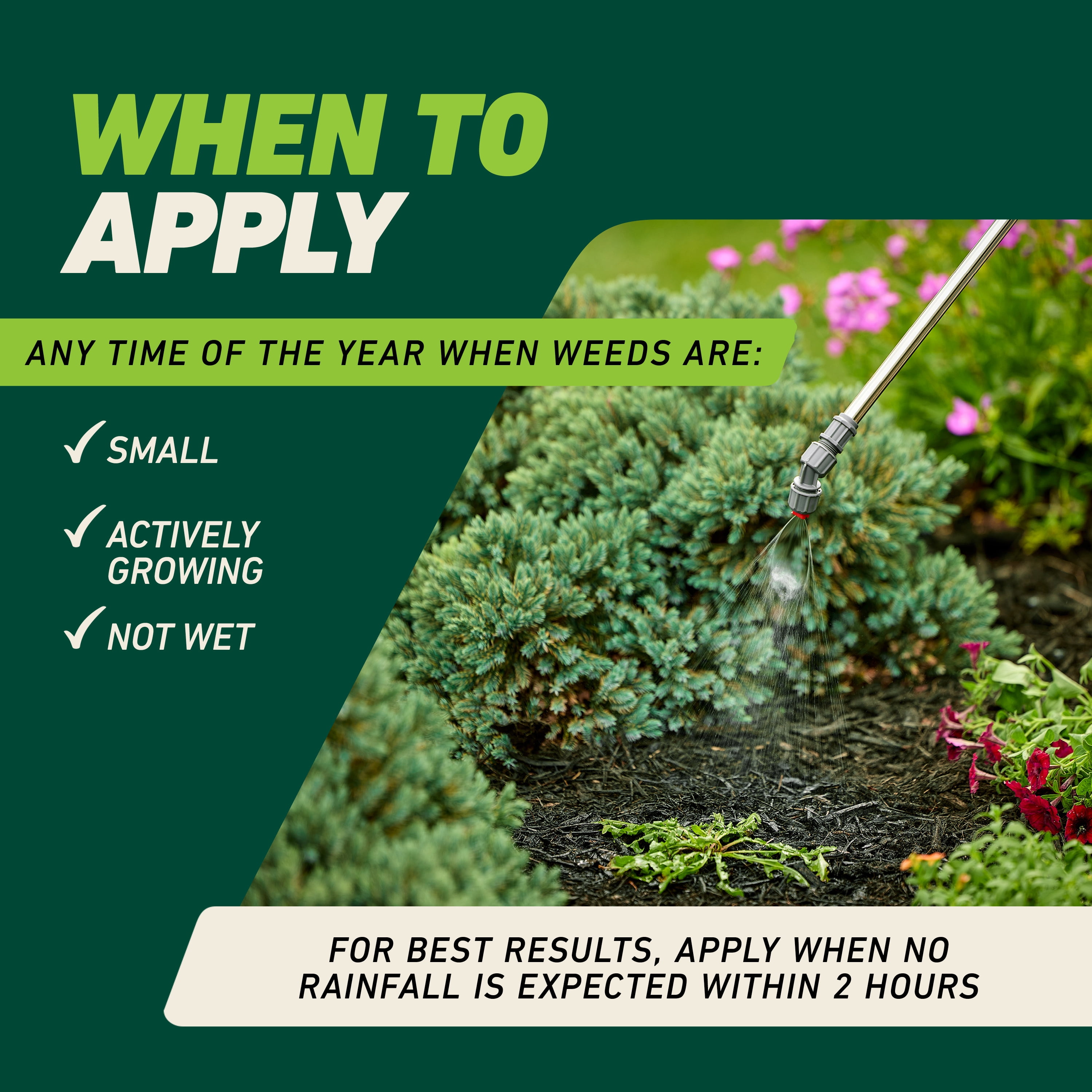 Ortho GroundClear Weed and Grass Killer2 Concentrate, Kills Moss and More, 32 fl. oz.