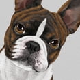 thumbnail image 3 of WIRESTER Canvas Prints Poster, 8 x 10 inch Wall Decor Canvas Artwork, Boston Terrier Brindle Dog, 3 of 7