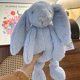 thumbnail image 1 of Weighted Jellycat Bunny Stuffed Animal 12 in - Weighted Plush Animals - Weighted Stuffed Animals for Anxiety - Weighted Stuffed Animals for Kids, Adults, 1 of 3