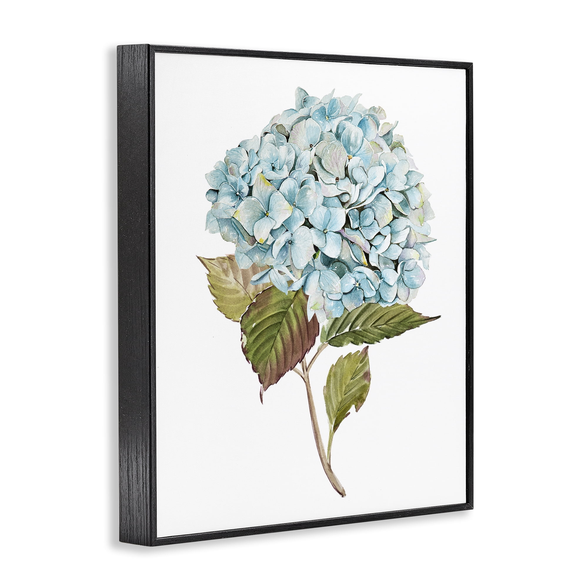 Stupell Industries Simple Hydrangea Bud Botanical & Floral Painting Black Framed Art Print Wall Art, 11 x 14