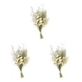 thumbnail image 1 of Yuarrent Dried Flowers Bouquet Dried Plants Flower Decor  Ornament  Wedding Type1, 1 of 6