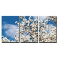 thumbnail image 2 of wall26 - 3 Piece Canvas Wall Art - White Magnolia Flowers in Spring - Modern Home Art Stretched and Framed Ready to Hang - 24"x36"x3 Panels, 2 of 4