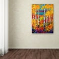 thumbnail image 3 of Trademark Fine Art 'Autumn Patchwork' Canvas Art by Marion Rose, 3 of 3