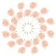 thumbnail image 1 of Uxcell 24-Pack Insignias de Flor para Hombres, Broches de Rosa de Hoja Dorada para Novios en Bodas/Bailes/Fiestas [Rosa Nieve], 1 of 7