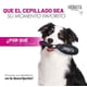thumbnail image 4 of Cepillo para Polvo Mantequilla para Mascotas Beige, 4 of 5