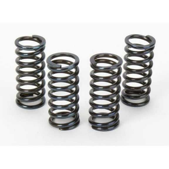 Vesrah Racing Clutch Spring Set