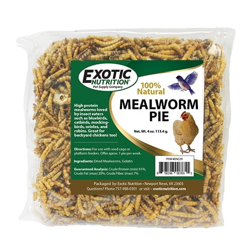 Mealworm To Go Mealworm And Sunflower Heart Pie 