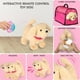 thumbnail image 5 of Cochecito Puppy Doll, flash n color, control remoto electrónico, 5 of 7