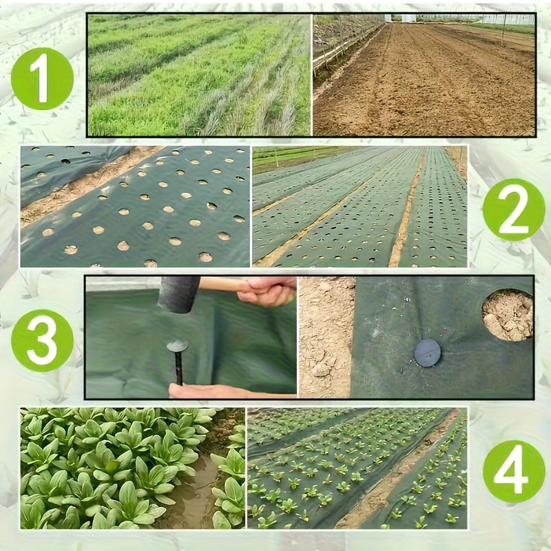 Green & Black Double-Layer PP Garden Weed Barrier Fabric, Pre-Punched 3.15" Holes, Breathable, Water Permeable & Non-Waterlogging, Weed Suppression, Moisture Retention, Multiple Sizes for Lawns