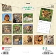 thumbnail image 2 of Lions | 2025 12x24" (Hanging) Square Wall Calendar | BrownTrout, 2 of 9