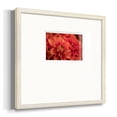 thumbnail image 2 of Spring FirePremium Framed Print, 2 of 5