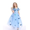 thumbnail image 5 of Cendrillon Robe de Princesse avec motif de Papillon pour Filles - Bleu Ciel avec Accessoires, 5 of 5