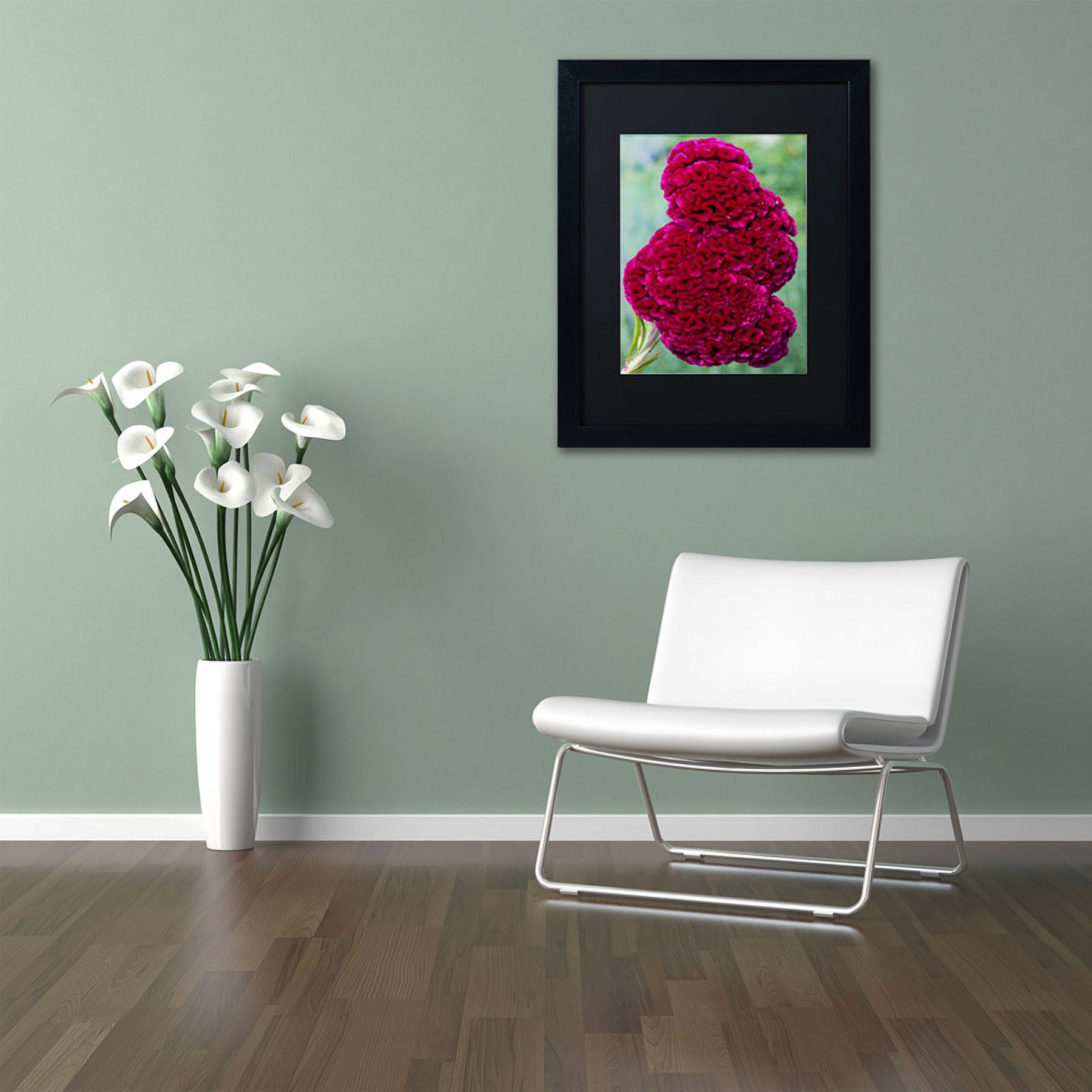 Trademark Fine Art "Coxcomb Flower" Canvas Art by Kurt Shaffer, Black Matte, Black Frame