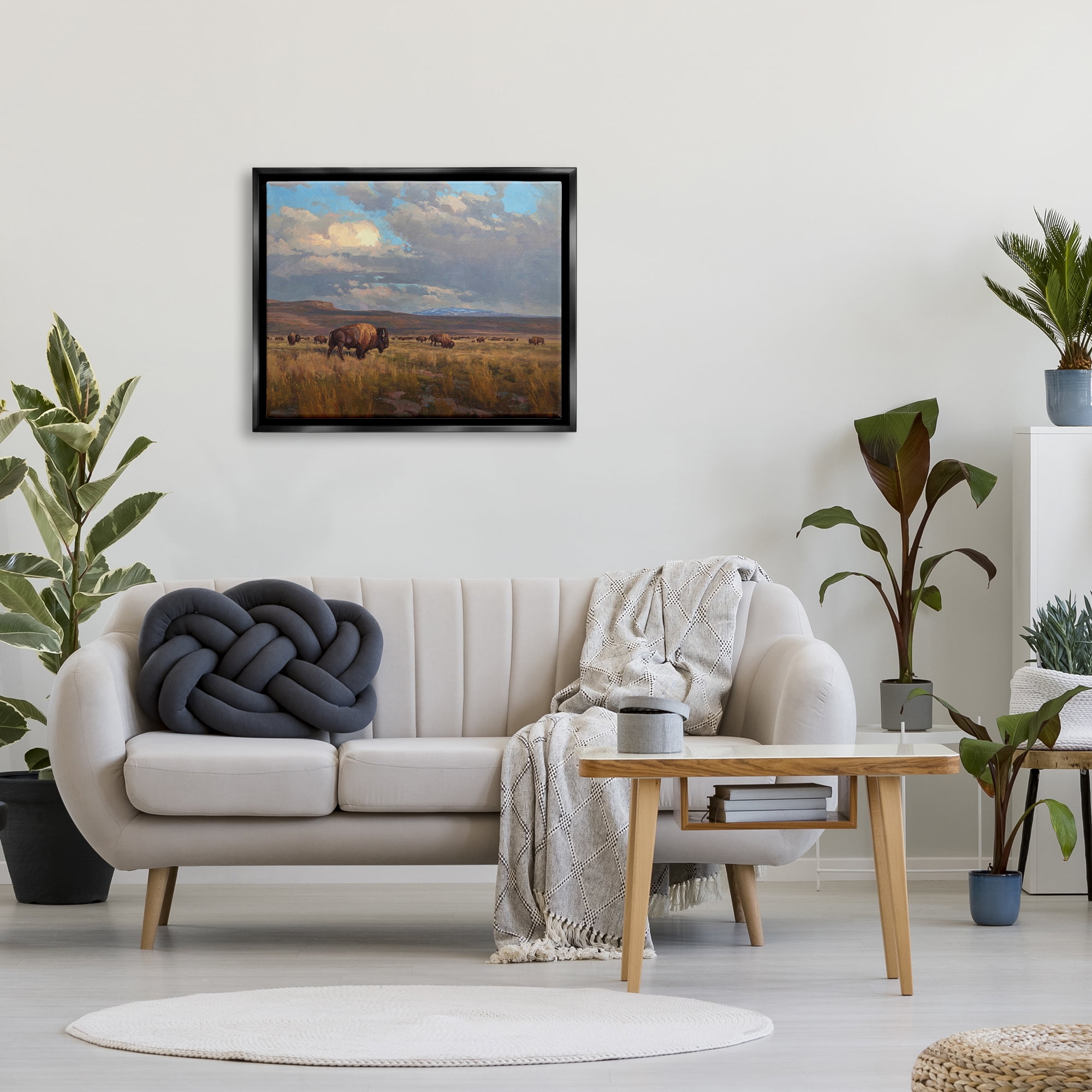 Stupell Industries Buffalo Cloudy Landscape Landscape Painting Black Floater Framed Canvas Art Print Wall Art, 31 x 25