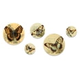 thumbnail image 2 of Designart "Vintage Illustration Of Butterfly II" Animals Butterfly Metal Wall Art Set of 5 Piece, 2 of 5