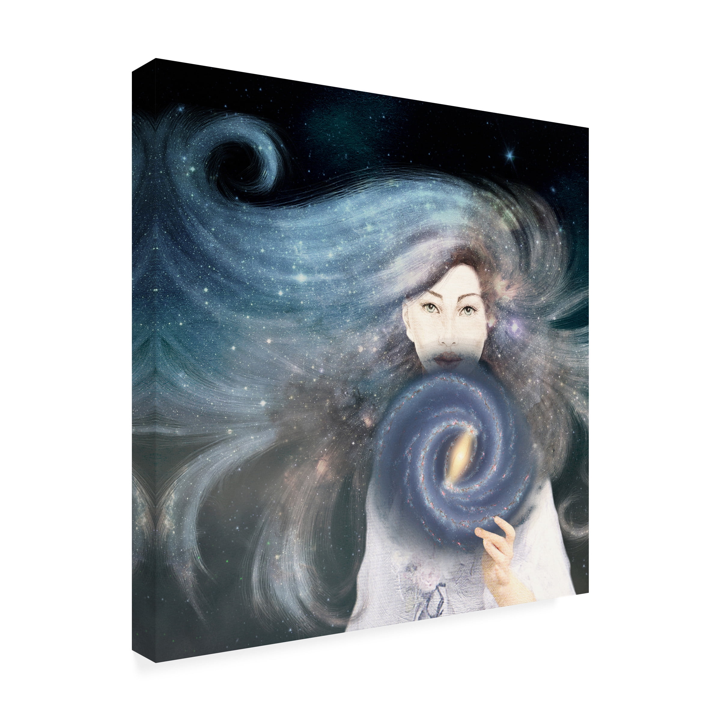 Paula Belle Flores 'My Secret Universe' Canvas Art