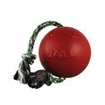 thumbnail image 3 of Juguete para Perros Jolly Pets Romp-n-Roll Cuerda con Pelota 11.5 cm Pequeño, 3 of 5