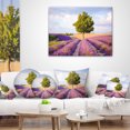 thumbnail image 3 of Designart Lonely Green Tree in Lavender Field - Landscape Printed Throw Pillow - 18x18, 3 of 4