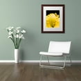 thumbnail image 3 of Trademark Fine Art "Day Lily Abstract" Canvas Art by Kurt Shaffer, White Matte, Wood Frame, 3 of 4