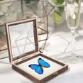 thumbnail image 4 of MasteelfCA Wooden Specimen Display Case Protective Specimen Storage Box with EVA Pad, 4 of 9