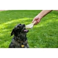 thumbnail image 6 of Premium Large Elk Antler Dog Treats, 5 count, 6 of 6