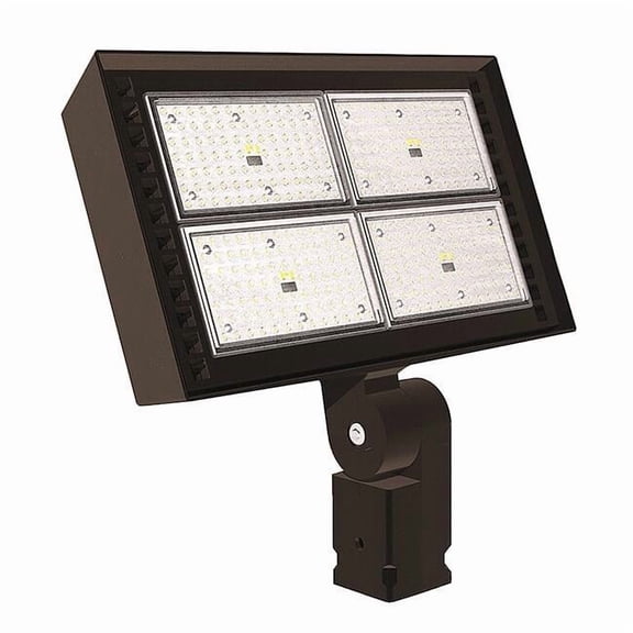 Exo General Purpose Floodlight,32000 lm,LED RFL5-265-4K-T
