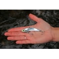 thumbnail image 2 of SteelShad Original - 3/8 oz - Silver - 3 Pack - Lipless Crankbait for fresh water & salt water Fishing - Long Casting Bass Lure Perfect for Bass, Pike, Musky, Walleye, Trout, Salmon and Striper, 2 of 3
