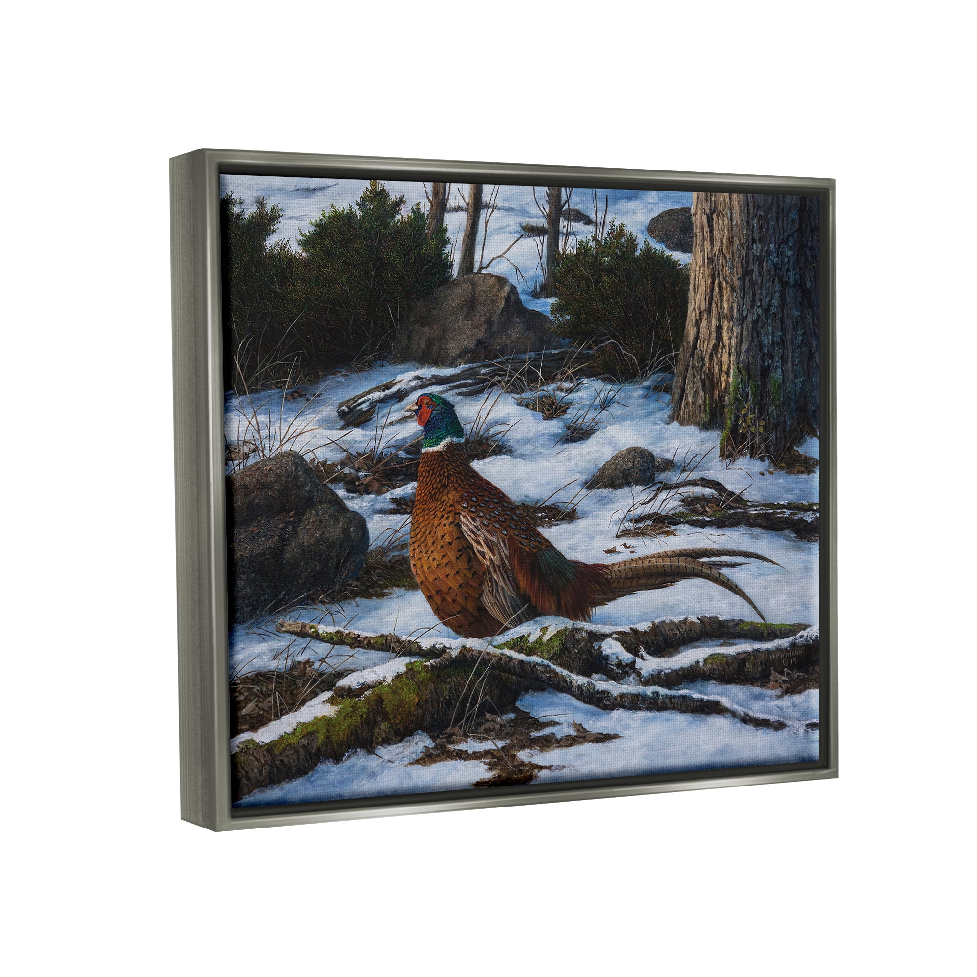 Stupell Industries Pheasant in Snowy Woods Animals & Insects Painting Gray Floater Framed Canvas Art Print Wall Art, 31 x 25