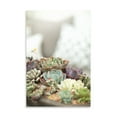 thumbnail image 2 of Gango Home Decor Succulents by Karyn Millet (Printed on Paper); One 24x36in Fine Art Paper Giclee Print, 2 of 4