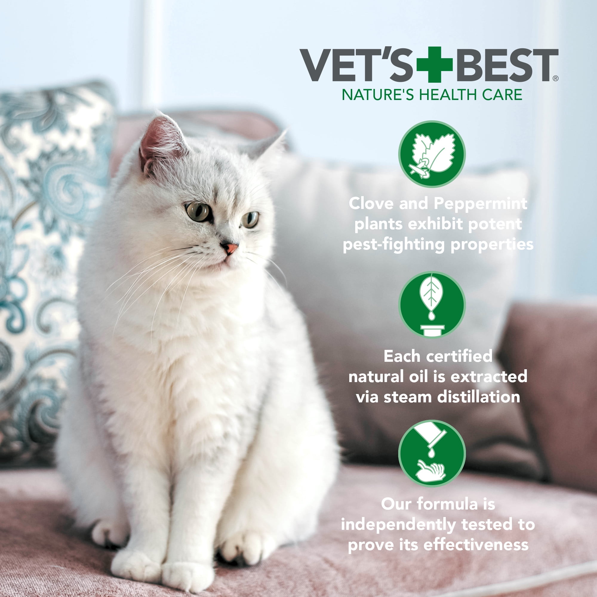 Natural Flea and Tick Spray for Cats Easy Kuwait Ubuy