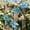 Blue-Free Size-YWW260421007BU, variant on Retro Dragonfly Wall Hanging Garden Decor Outdoor Iron Sculpture Porch Fence Balcony Yard Entryway for Patio Lawn Flower Beds Cottage Farmhouse Spring Summer Decor Gift for Garden Lovers Entryway