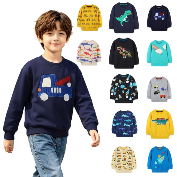 Rvasteizo Toddler Boys' Long Sleeve Tee Shirt Cotton Crew Neck Printed Daily Pullover Sweatshirt Top for Boys 1-7Years