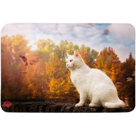 

Autumn Animal Indoor Door Mat Anti-Skid Memory Foam Floor Mat Absorbent Entrance Rug Easy Clean Washable Doormat for Entryway Patio Front Door Fallen Leaves and White Cat Texture 24x16 Inch