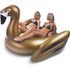 GoFloats Swan Voyage Giant Inflatable Gold Swan Swimming Pool Float, Premium Quality and Largest Size, for Adults and Kids