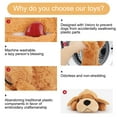 thumbnail image 3 of IFOYO Heartbeat Dog Toy, Relieving Dog Anxiety Toy with Calming Heartbeats Sound for Puppies Dogs Cats Separation Anxiety, Puppy Heartbeat Comforter for Behavioral Training (Washable, Light Brown), 3 of 7
