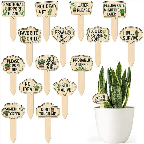 15 Uds. Etiquetas para Jardín Etiquetas Impermeables para Plantas Marcador para Plantas en Macetas Jardín