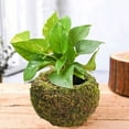 thumbnail image 3 of Moss Decoration Plant Holder Birds Nest For DIY Gardening Decor Ball Flower Pot, 3 of 9