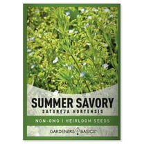 Summer Savory Seeds