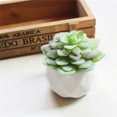 thumbnail image 4 of Succulent Plants , 1Pc Artificial Flower Succulent Plant Bonsai DIY Garden Office Home Party Decor Real Live Potted Succulents / Unique Indoor Cactus Decor by Plants for Pets, 4 of 8