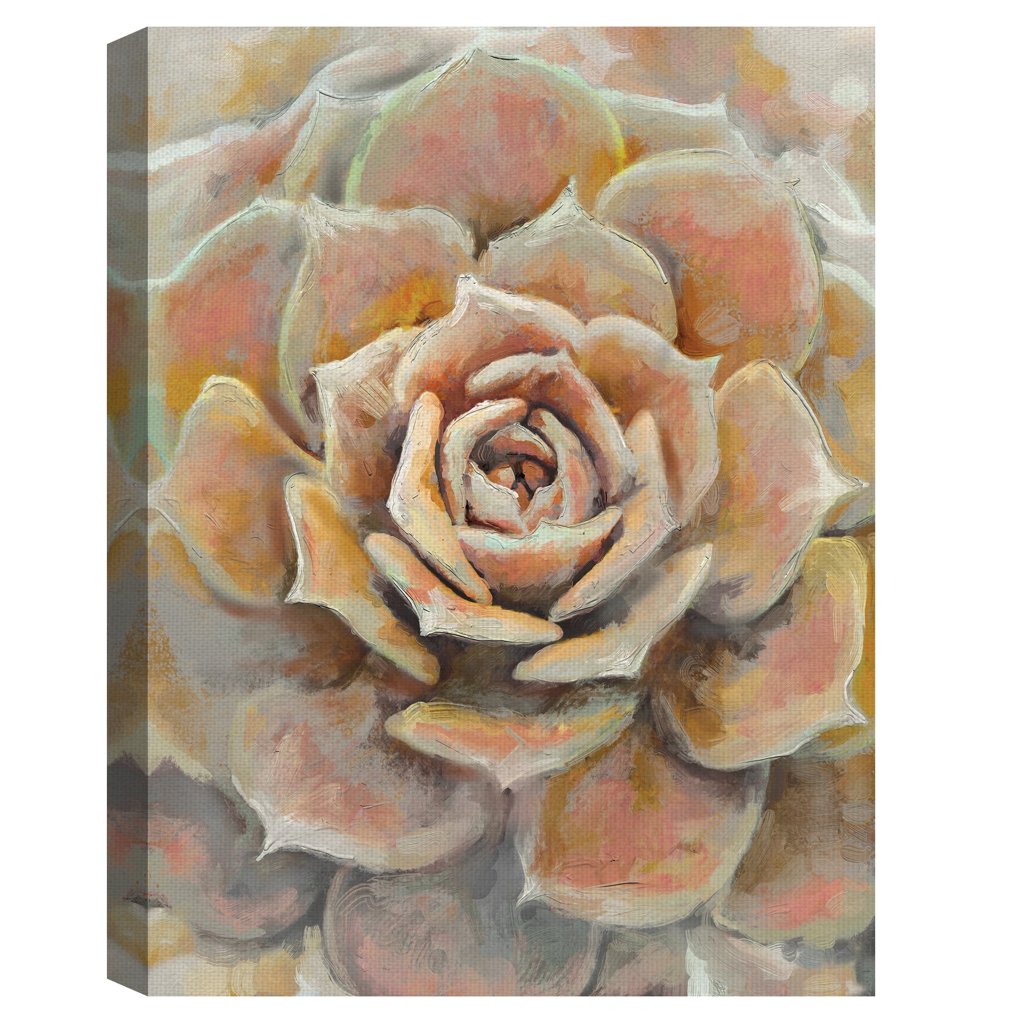 Masterpiece Art Gallery Desert Bloom Orange Succulent by Studio Arts Canvas Art Print 18" x 24"