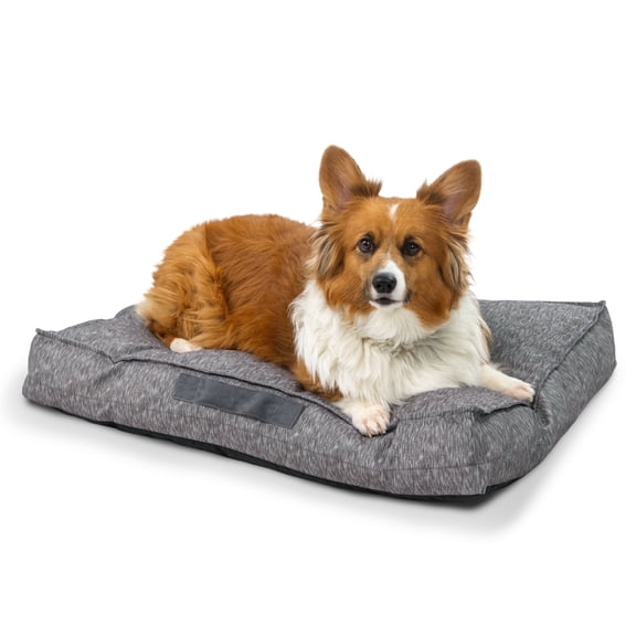 Best Friends by Sheri Dura-Tuff Dog Bed, Durable with Water-Resistant Base, Shredded Foam & Plush Polyfill, Orthopedic Comfort for Dogs & Puppies, Indoor/Outdoor, Gray, 30" x 20"