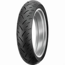 Dunlop Sportmax GPR-300 Radial Rear Motorcycle Tire 150/60R-17 (66H)