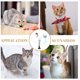 thumbnail image 3 of unbranded Durable Double Feather Teaser Stick for Cats Indoor Use Safe Plastic Steel Wire Material, 3 of 8