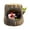 B, variant on FEISHENTT Plush Tree Stump Nest Toy with 2 Birds - Soft Stuffed Animal Playset for Kids