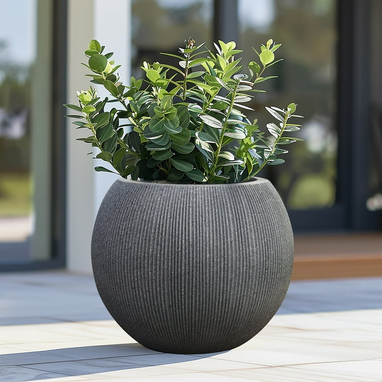 SRL BRIMTYPE PLANT POT-M valiem カタチ製作所 Amazon.com: Autodaya 19.5