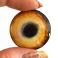 thumbnail image 6 of Light Brown Wolf Glass Eyes, 6 of 11